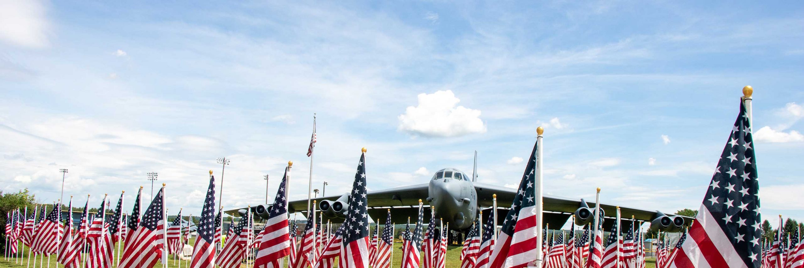 field of flags with plane